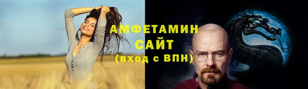 эйфоретик Богданович