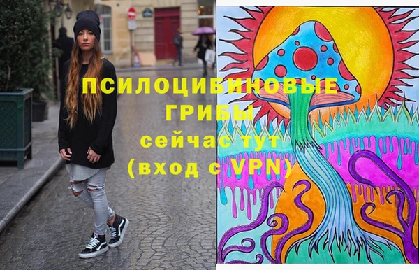 эйфоретик Богданович