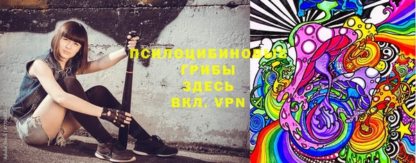 эйфоретик Богданович