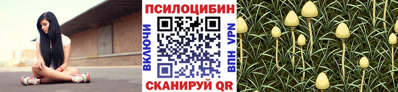 Галлюциногенные грибы мухоморы  продажа наркотиков  это состав  Ачхой-Мартан 